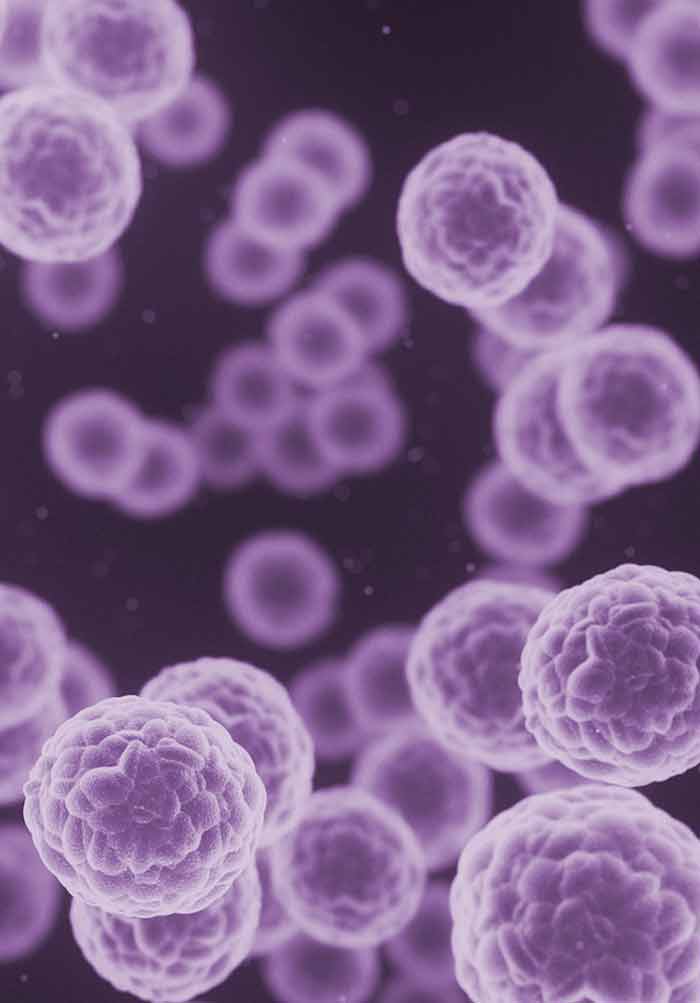 Bone Tumors - Pathogenesis, Diagnosis, and Management | IntechOpen
